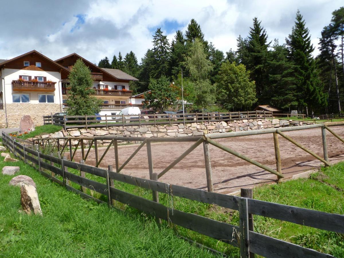 Hotel Reiterhof Edelweiss San Genesio Atesino Exterior foto